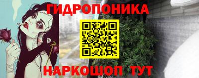 apvp Кимры