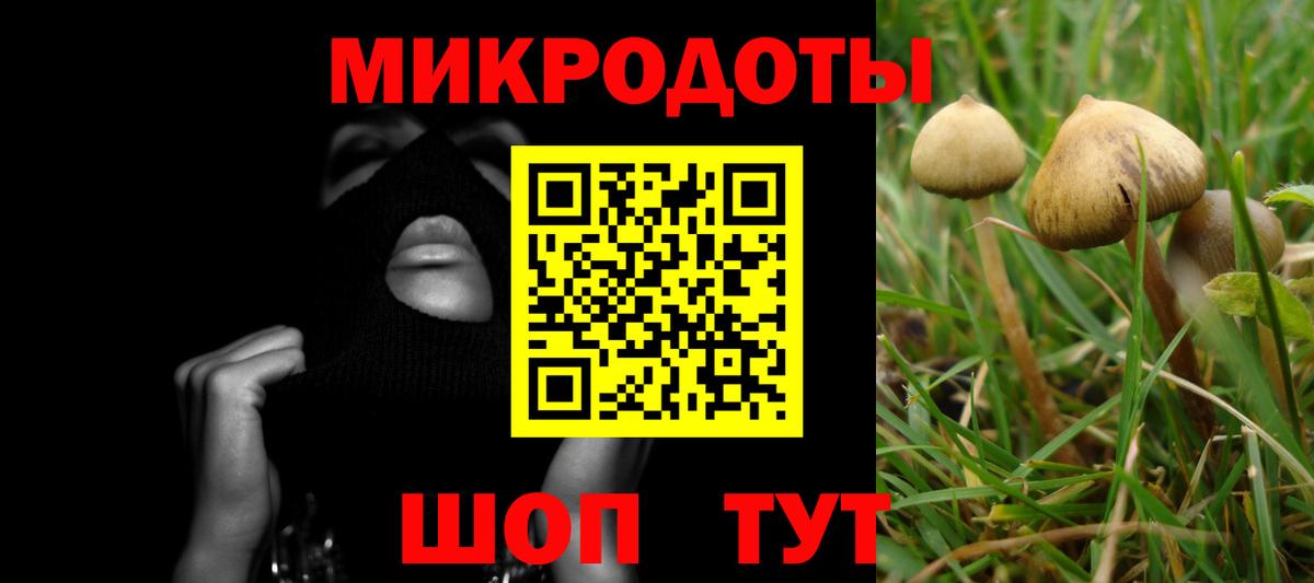 Кострома  Галлюциногенные грибы Magic Shrooms  Вход с VPN 